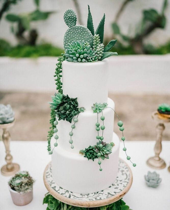 Pastel de boda con suculentas