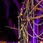 Wedding planner Gaby Moreno